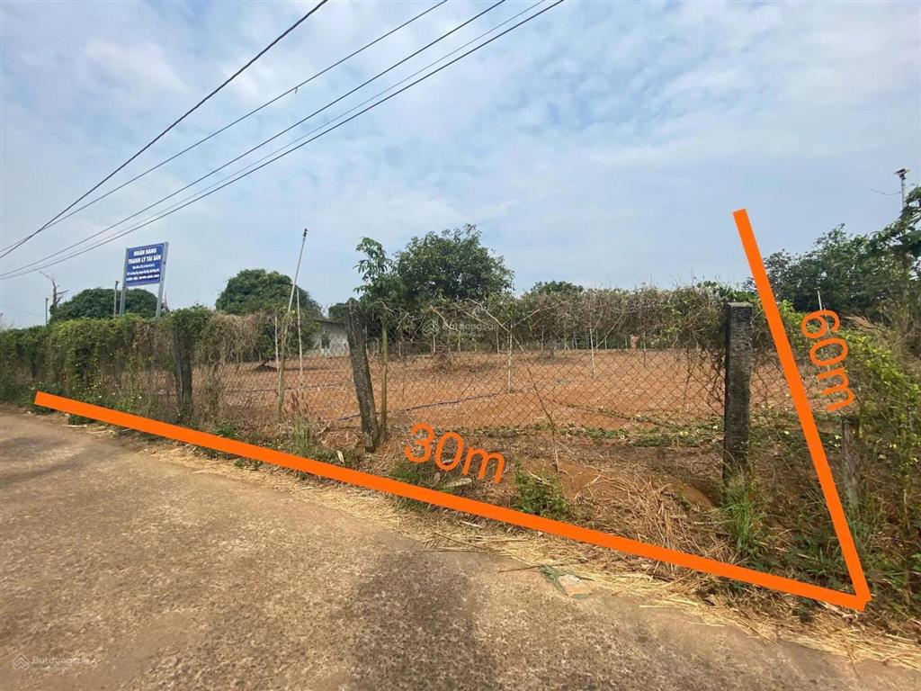 Ngân hàng thanh lý thửa đất nở hậu đẹp tại sông ray, cẩm mỹ, đồng nai. diện tích 2.020m2