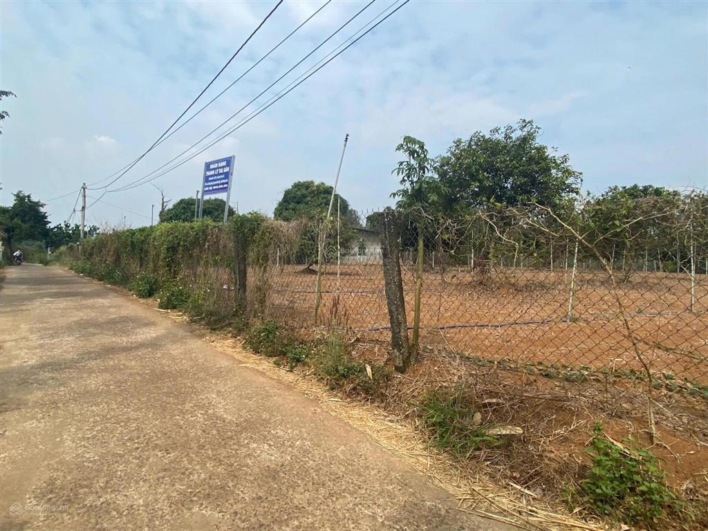 Ngân hàng thanh lý thửa đất nở hậu đẹp tại sông ray, cẩm mỹ, đồng nai. diện tích 2.020m2