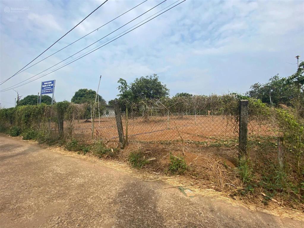Ngân hàng thanh lý thửa đất nở hậu đẹp tại sông ray, cẩm mỹ, đồng nai. diện tích 2.020m2