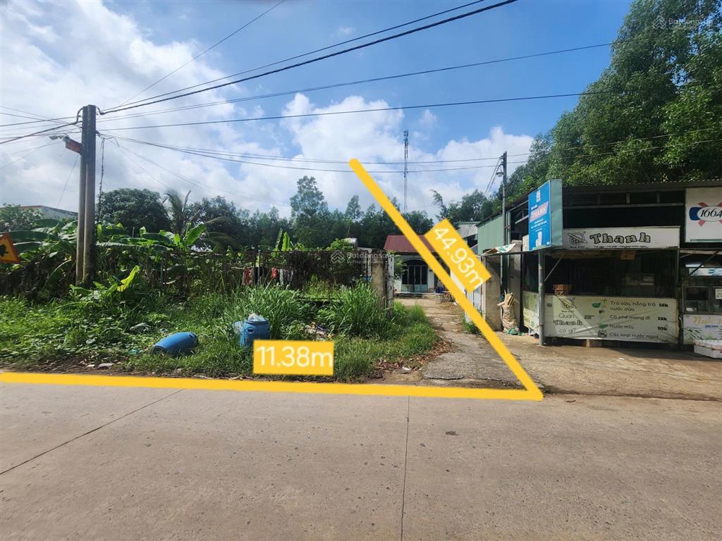 Bán đất tại phước tân, biên hòa, đồng nai, 4,5 tỷ, 491m2