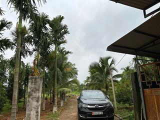 Bán khu vườn đẹp 1,4ha 5 sổ hồng nhà sẵn vườn cây trái giá 9 tỷ (thương lượng)