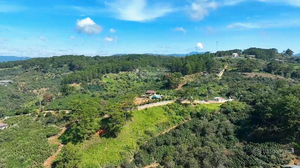 Siêu phẩm đất 8,1ha xuân cam có 300m² đất ở, 1,5ha cln mặt tiền 100m giá chỉ 166 tỷ!
