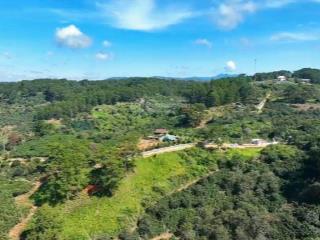 Siêu phẩm đất 8,1ha xuân cam  có 300m² đất ở, 1,5ha cln  mặt tiền 100m  giá chỉ 166 tỷ!