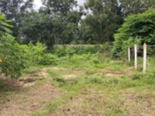 Bán đất tại xã diên lâm, diên khánh cũ, khánh hòa. giá 1,5 tỷ, dt 153m2 giá cực êm