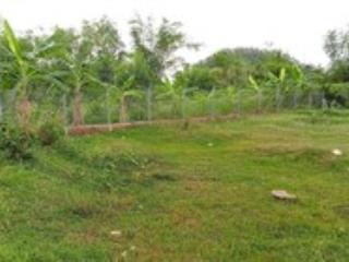 Bán đất thôn khánh xuân, xã diên lâm.chỉ 1,9 tỷ, 161,7m2 full thổ. nhanh tay tl mạnh