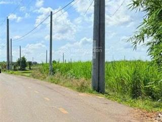 Bán đất phước long thọ, long đất, bà rịa vũng tàu