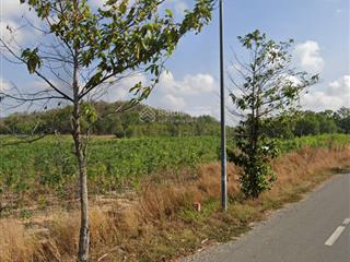 Bán đất thôn phước tân, xã tân hòa, thị xã phú mỹ, brvt