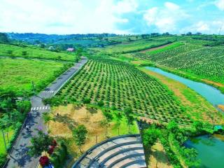 Bán đất di linh  nơi thiên nhiên chạm tới tâm hồn