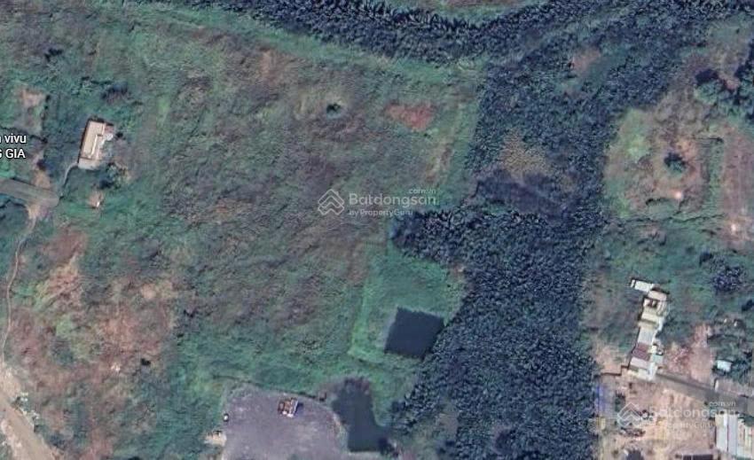 Chính chủ cho thuê đất, kho, xưởng tại quận 7, diện tích trống 2ha cho cắt xẻ theo nhu cầu