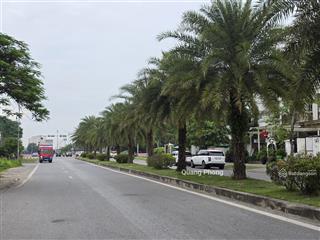 Bán đất mặt phố trục chính kinh doanh cạnh vinhomes long biên.