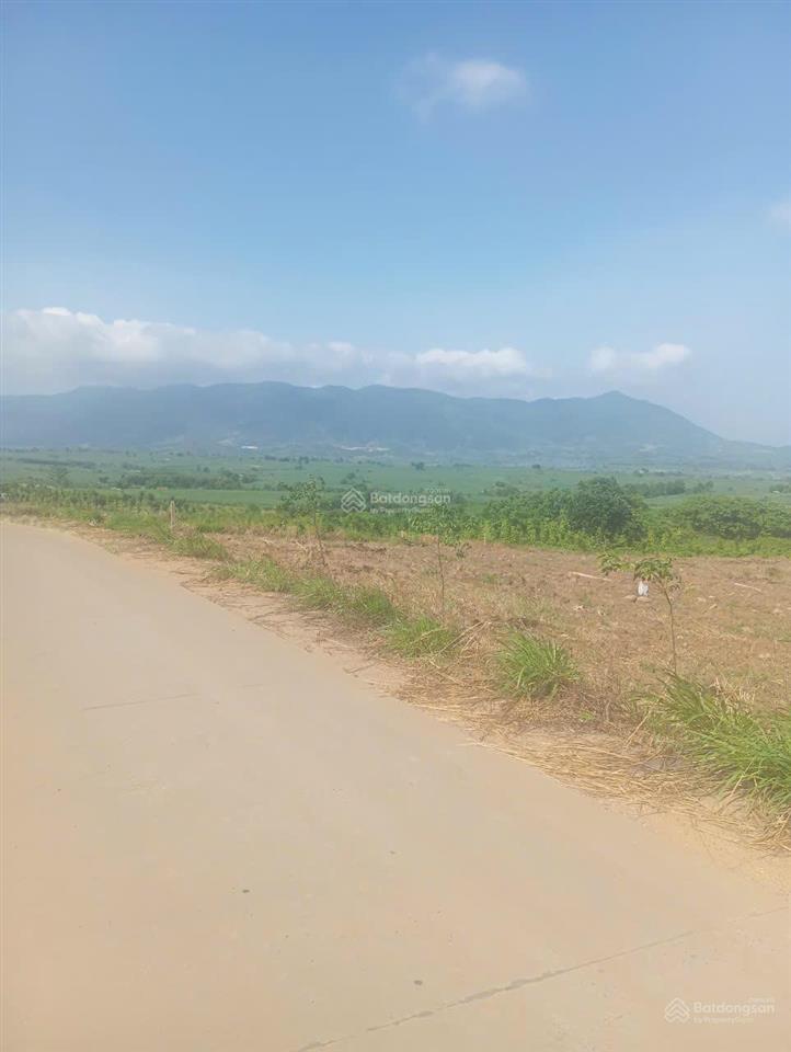 Cơ hội đầu tư 9,8ha đất rừng thôn xuân cam, xã xuân sơn, mt 125m, giá chỉ 85 tỷ, có sổ liền tay