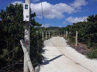 Chính chủ bán đất tà nung giáp suối, đà lạt  view đồi tuyệt đẹp, cách trung tâm chỉ 15km