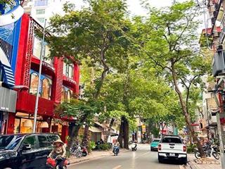 Chỉ 5 tỷ  cực hiếm  gần lăng bác  phan đình phùng  quán thánh, căn hộ tt riêng biệt tầng 3&4
