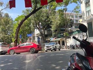 Bán nhà mặt phố tràng thi giá chỉ 12,8 tỷ kinh doanh vị trí siêu đẹp trung tâm hoàn kiếm