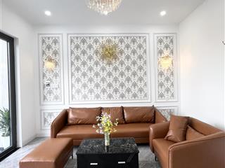 Bán nhà mới hoàng thiện mặt tiền đường trần mai ninh dt 5x18m thổ cư
