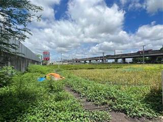 Không muốn bán nhưng phải bán đất đẹp 100m² bình chánh, ưu tiên gọi 0588 596 ***