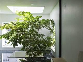 Biệt thự thiết kế xanh độc đáo tại thảo điền