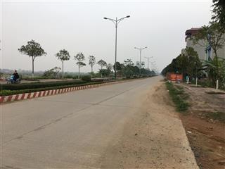 Chính chủ em cần bán đất khu lò gạch, thượng trưng, vĩnh tường, vĩnh phúc, diện tích 108 m2