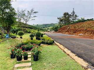 Chính chủ cần bán đất siêu đẹp xã lộc tân, bảo lâm giá cực tốt chỉ 790 triệu (còn thương lượng)