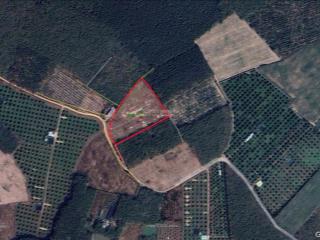 Đất đẹp, giá cả phải chăng tại hưng thuận, trảng bàng, tây ninh. diện tích 10.009m², giá 10 tỷ