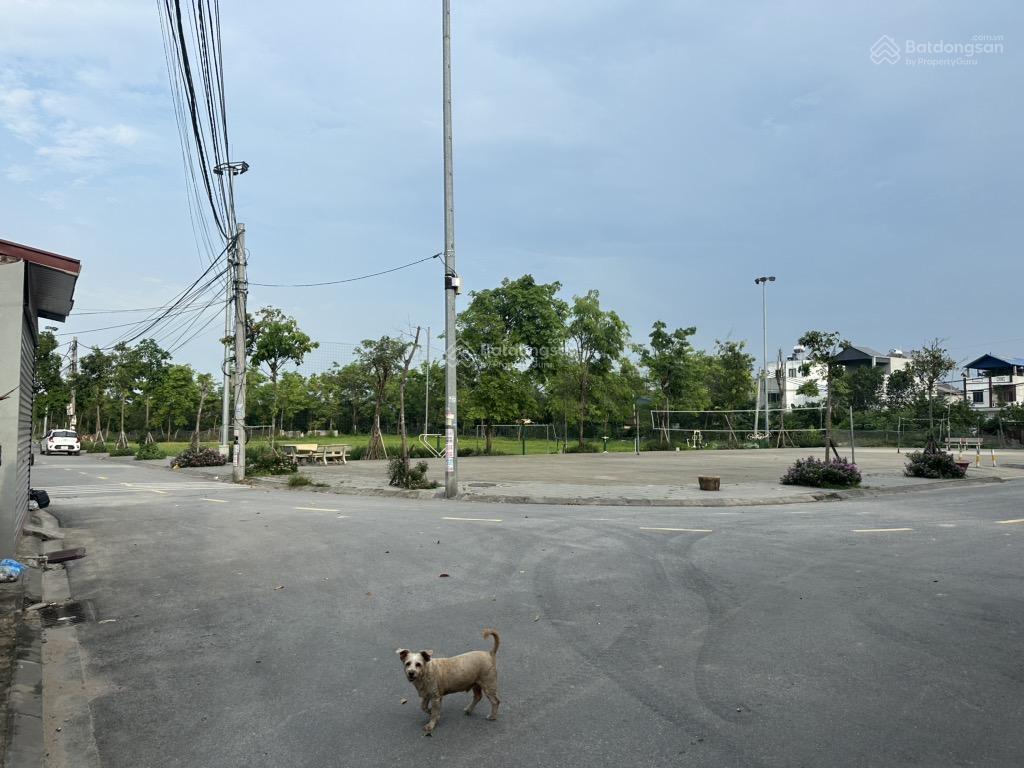 Kinh doanh đường 6m oto tránh hai mặt đường chia 2 lô được 30m ra sân bóng và sân chơi rộng rãi