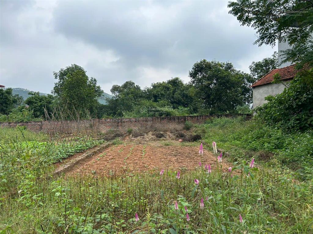 Cần bán gấp lô đất giá rẻ hơn thị trường chỉ 1,6 tỷ xã ngọc thanh, tp phúc yên