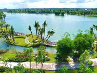 Đất đẹp thổ cư đường tân túc, bình chánh, gần kdc eco park. sổ riêng, công chứng ngay trong ngày