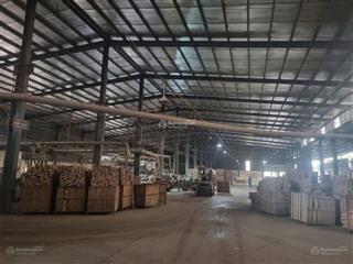 Cho thuê kho xưởng nghệ an  2800m2