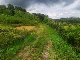 Bán đất tại thôn 2, xã la dạ, hàm thuận bắc, bình thuận, 1,5 tỷ, 4392 m2 đẹp, tiện ích