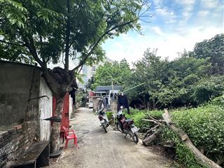 Bán đất phần trăm tại phường trần phú, hoàng mai