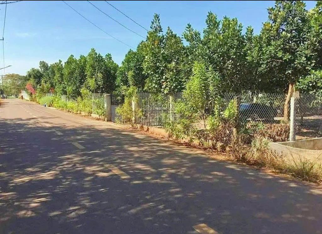 Cực hiếm chỉ 4xx đất gần vincom chơn thành cách 10p đi xe, hàng xóm biệt thự, giữa 2 kcn
