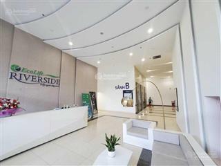 Căn hộ ecolife riverside 1pn  3pn, giảm ngay 400tr, nh hỗ trợ vay tối đa 70%