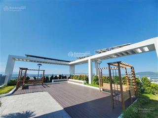Chủ nhà bán cắt lỗ 200 triệu căn 3pn, 2wc tại căn hộ ecolife riverside quy nhơn