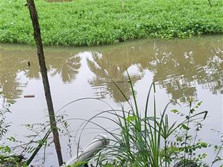 Nhà riêng ở trương vĩnh nguyên, phú thứ, cái răng, cần thơ giá tốt chỉ với 1,7 tỷ, 252m2