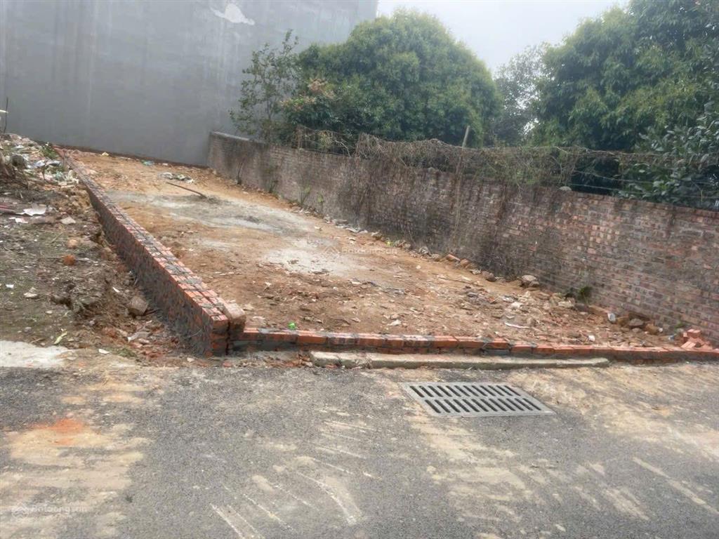 Chính chủ bán 98m2 đất. bảo tháp kim hoa mê linh
