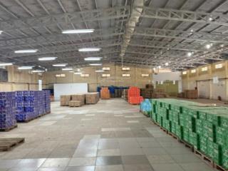 Cho thuê kho xưởng rộng 1000m2 ngay chợ phường 7, bến tre. hệ thống pccc đầy đủ