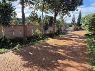 Cần bán 1.2 hecta đất nông nghiệp tại xã đà loan  lâm đồng