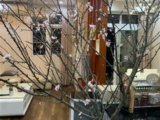 (gía thật) bán căn 2n2wc 112m2 giá 9,2 tỷ full nội thất chung cư trung yên plaza
