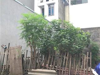 Bán đất đức giang ngõ nông thông, ô tô gần chẵn 5 tỷ