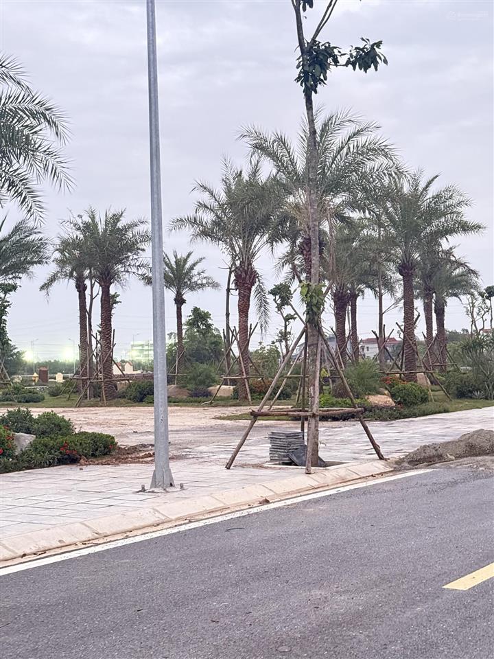 Dự án hoàng lýhả namninh bình mặt tiền 5m diện tích từ 90m phát lý minh bạch, sổ đỏ trao tay , hậ