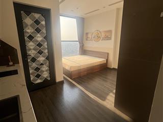 Căn hộ studio tại phân khu cao cấp tonkin, cực phù hợp cho người đầu tư dòng tiền, giá rẻ nhất
