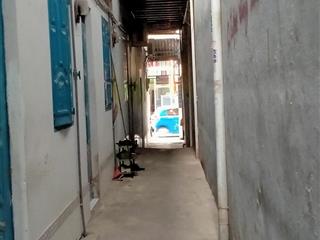 Bán nhà riêng tại xuân thới sơn, hóc môn, hồ chí minh giá ưu đãi, 252m2