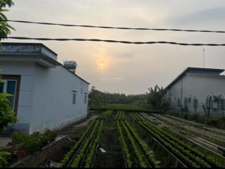 Bán đất chính chủ 4.373m2 mặt tiền đường ông hộ, phường an hoà, tp sa đéc, đồng tháp