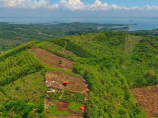 Chính chủ gửi bán lô đất 3200m2 view Hồ Trị An, sát QL20