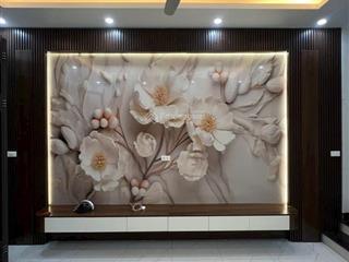 Bán nhà riêng đẹp, trịnh văn bô, 40 m2, phân lô, vỉa hè giá chỉ hơn 9 tỉ