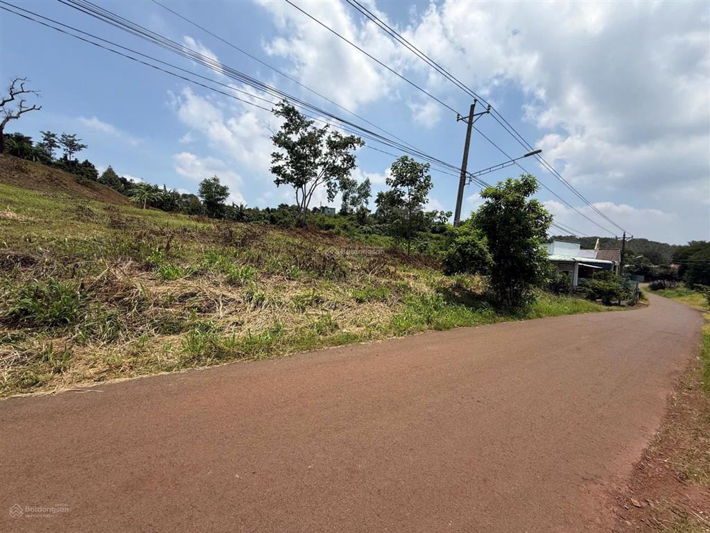 Bán đất đẹp xuất sắc tại hàng gòn,