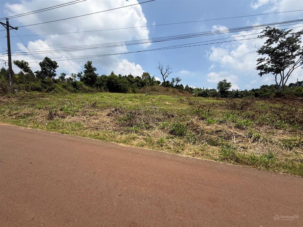 Bán đất đẹp xuất sắc tại hàng gòn,