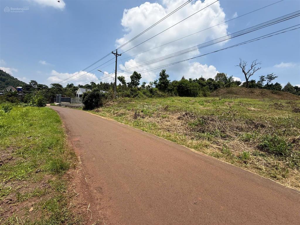 Bán đất đẹp xuất sắc tại hàng gòn,