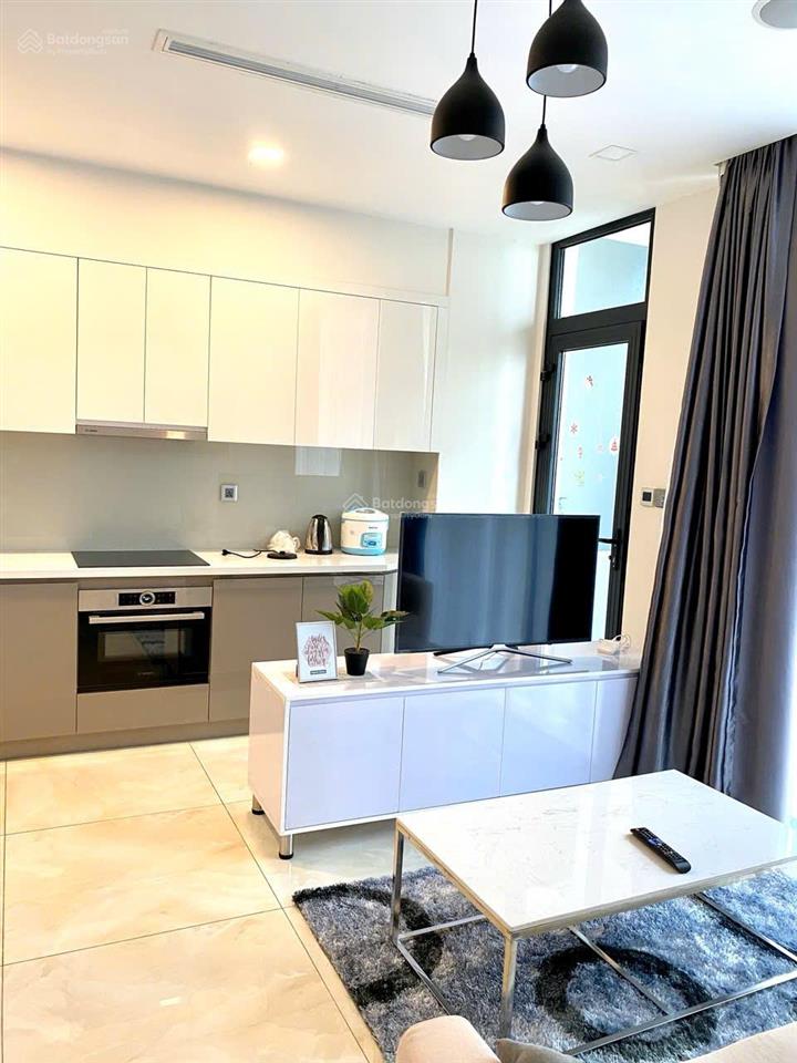 Căn hộ chung cư 1pn, 1wc, 50,6m2 tại vinhomes golden river ba son, bán gấp 9,45 tỷ