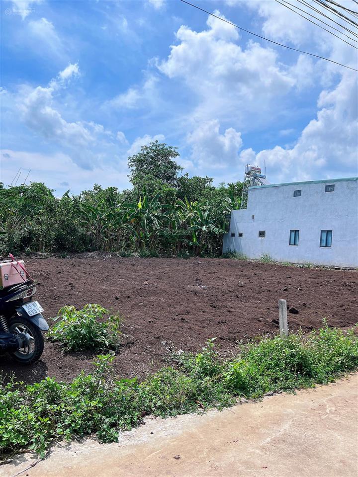 Bán đất tại cẩm đường, long thành, đồng nai, giá tốt 1,391 tỷ, dt khủng 130m2